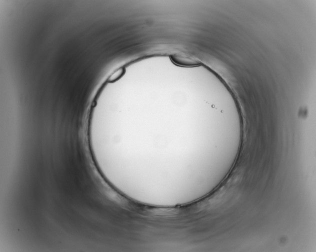 X0000103271392200809191732