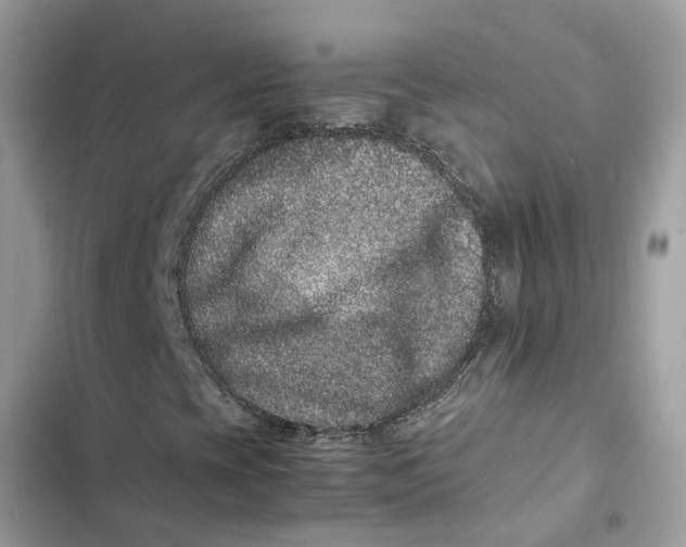 X0000103271393200809191731