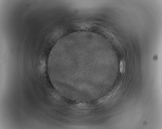 X0000103271395200809191731
