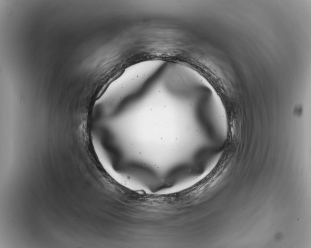 X0000103271396200809191731