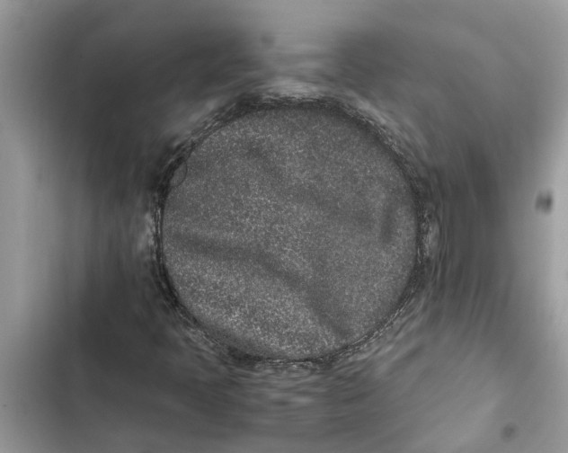 X0000103271397200809191731
