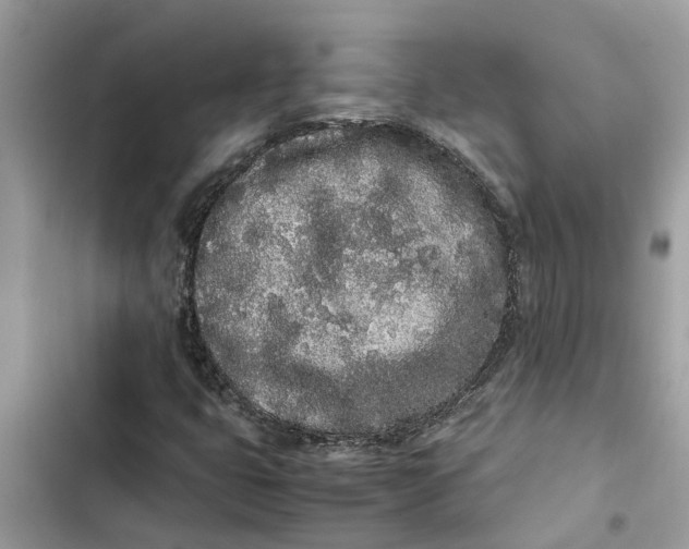 X0000103271399200809191731