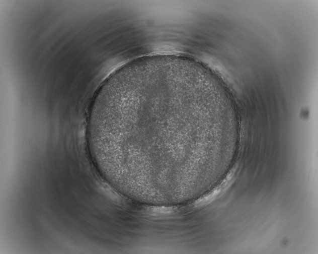 X0000103271401200809191731