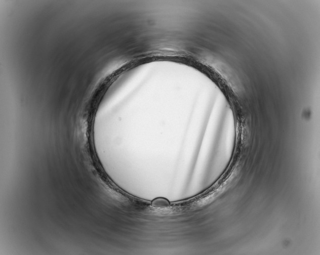 X0000103271402200809191731