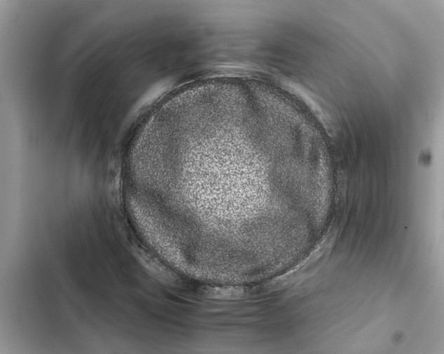 X0000103271403200809191731