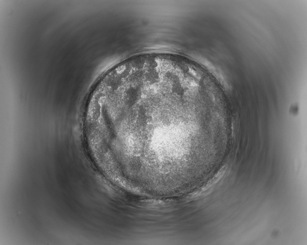 X0000103271405200809191731
