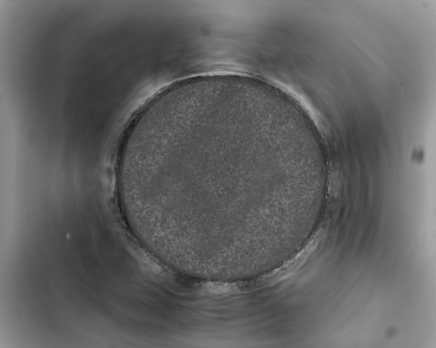 X0000103271407200809191731