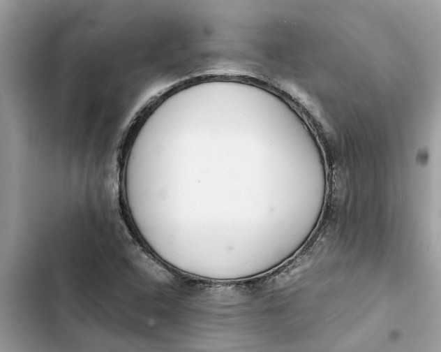 X0000103271408200809191731
