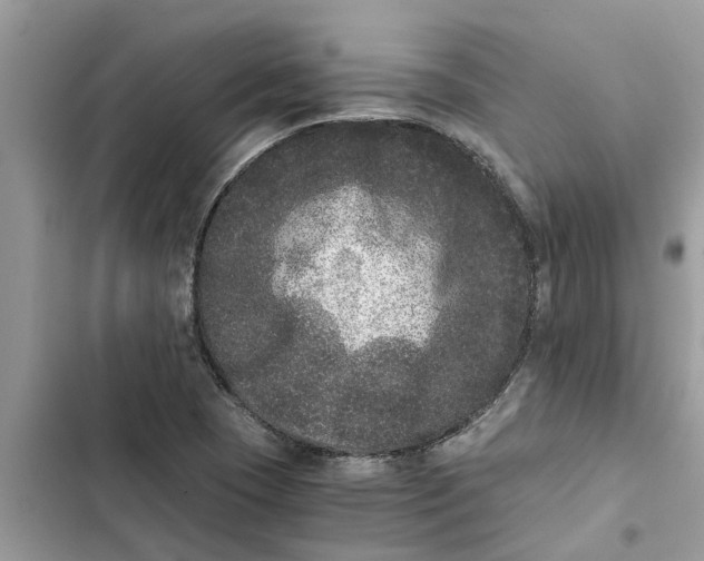 X0000103271409200809191731