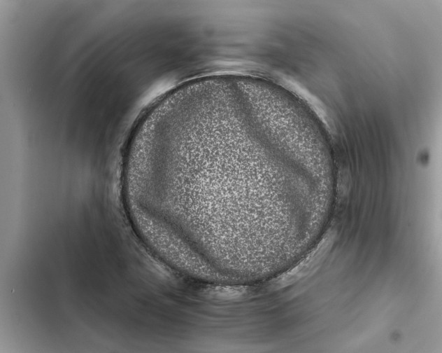 X0000103271411200809191731