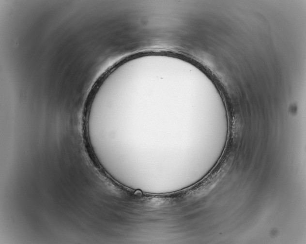 X0000103271412200809191731