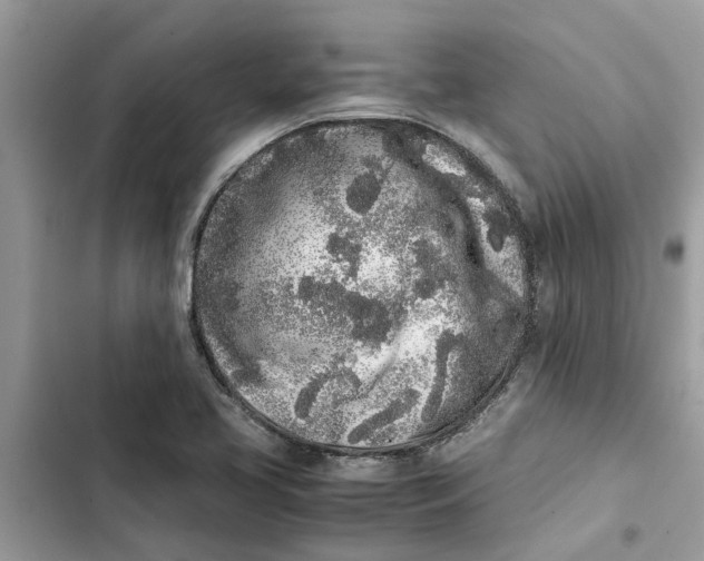 X0000103271413200809191731