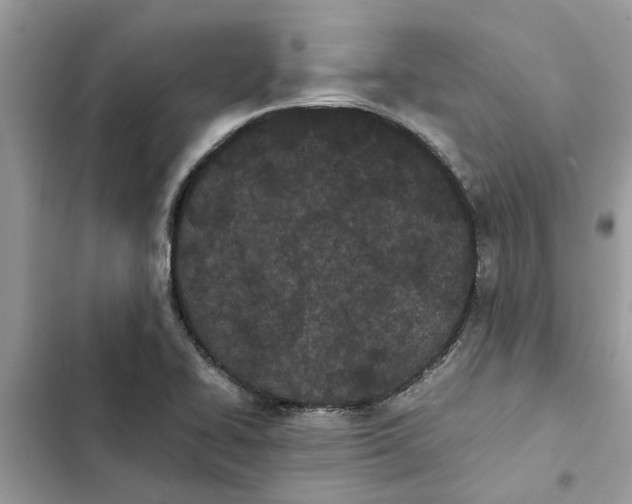 X0000103271414200809191731