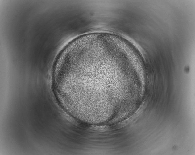 X0000103271415200809191731