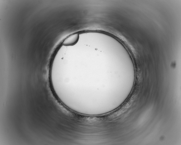 X0000103271416200809191731