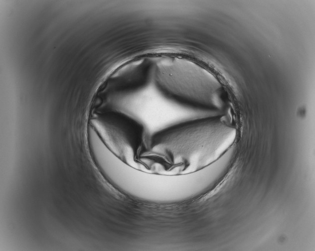X0000103271417200809191731