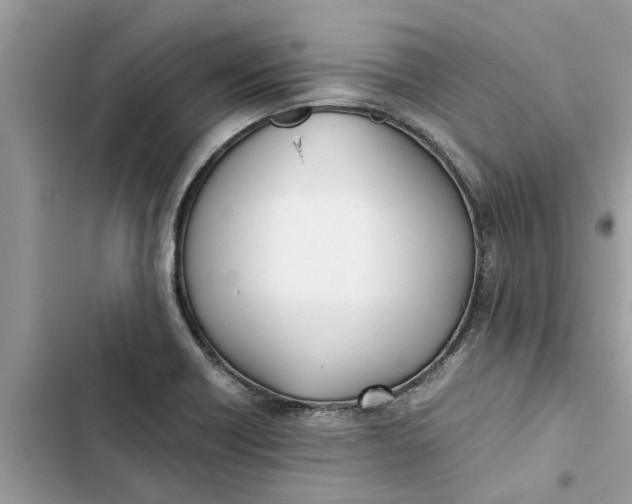 X0000103271418200809191731