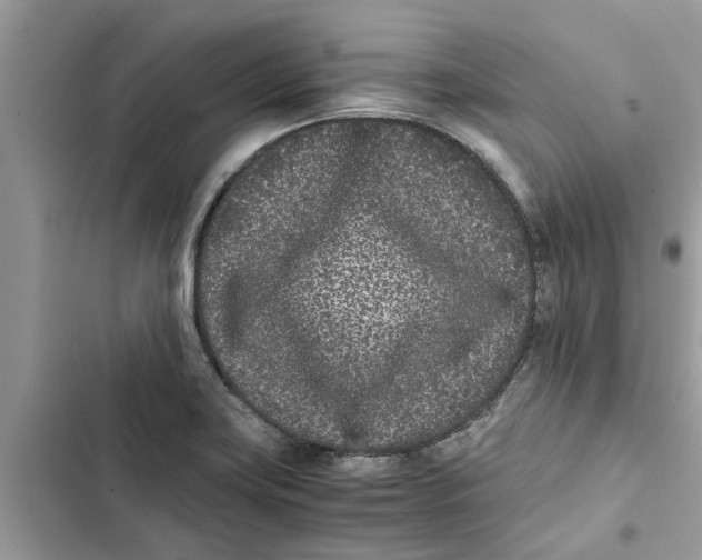 X0000103271419200809191731
