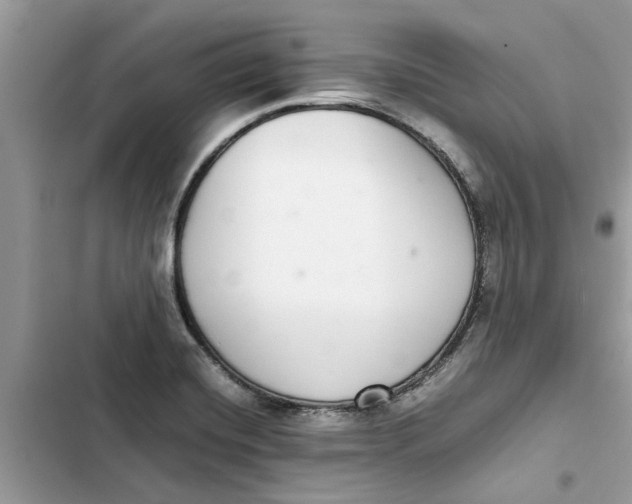 X0000103271420200809191731