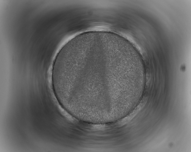 X0000103271421200809191731