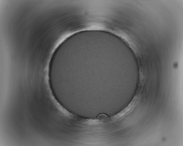 X0000103271422200809191731