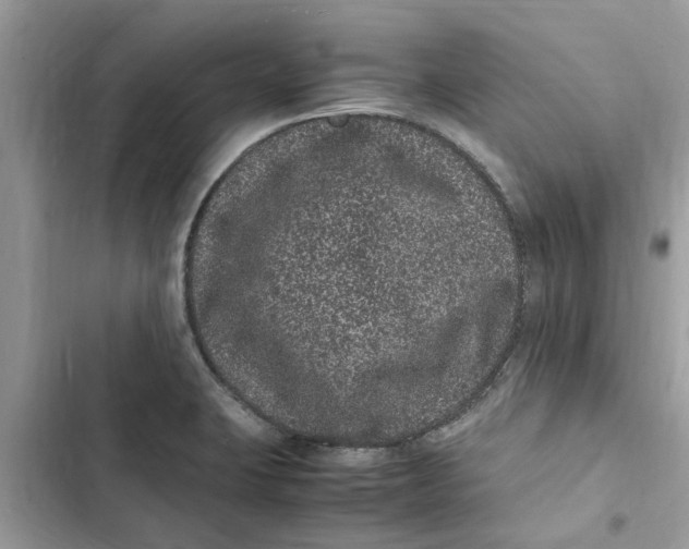 X0000103271423200809191731