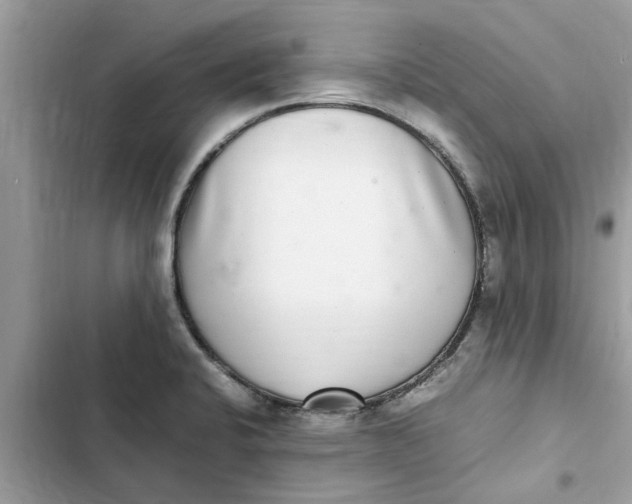 X0000103271424200809191731
