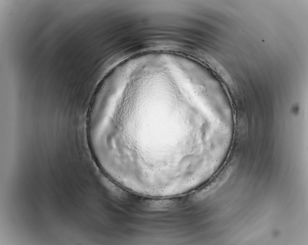 X0000103271425200809191732