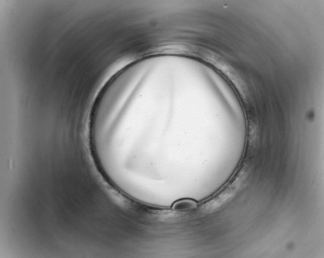 X0000103271426200809191732