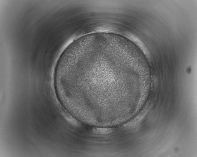 X0000103271427200809191732