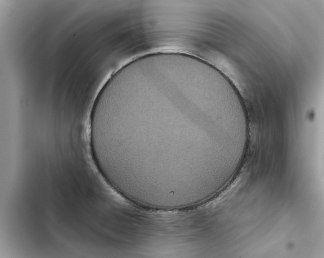 X0000103271428200809191732