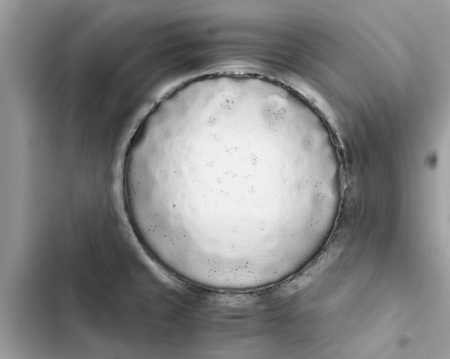 X0000103271429200809191732