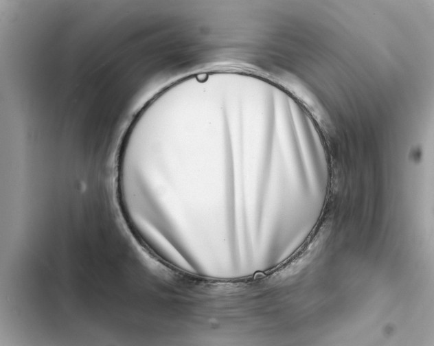 X0000103271430200809191732