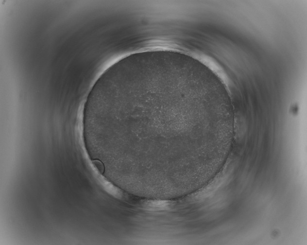 X0000103271431200809191732