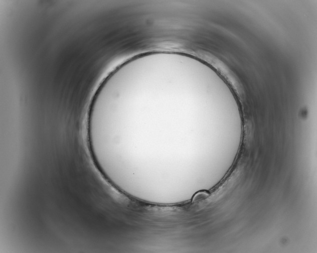 X0000103271432200809191732