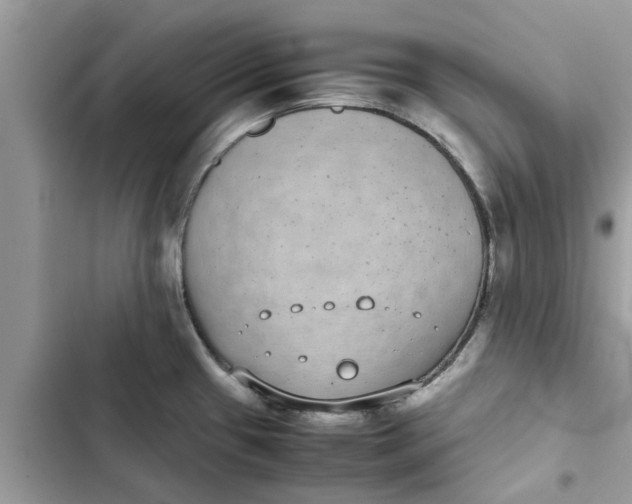 X0000103271433200809191732