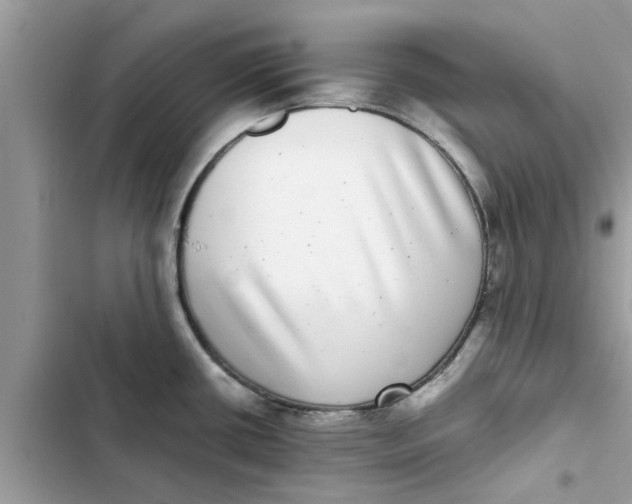 X0000103271434200809191732
