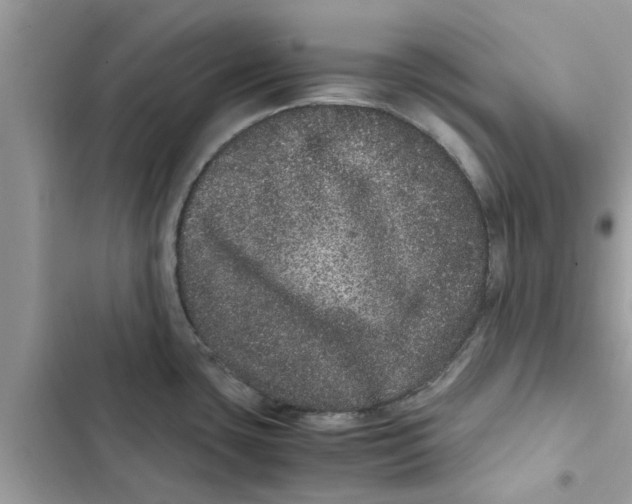 X0000103271435200809191732