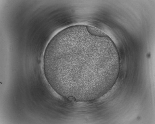 X0000103271436200809191732