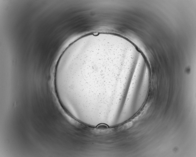 X0000103271437200809191732