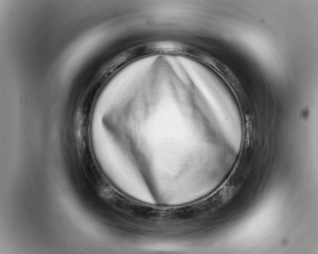 X0000103271438200809191732