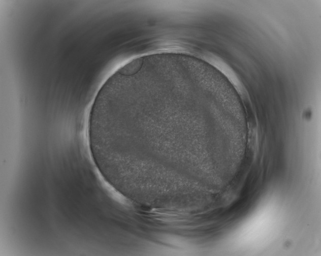 X0000103271439200809191732