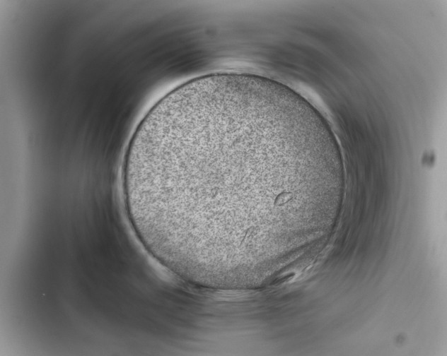 X0000103271440200809191732
