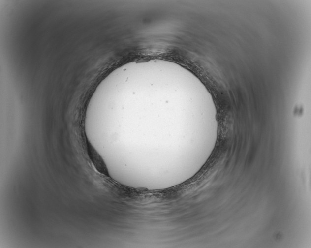 X0000103271441200809191731