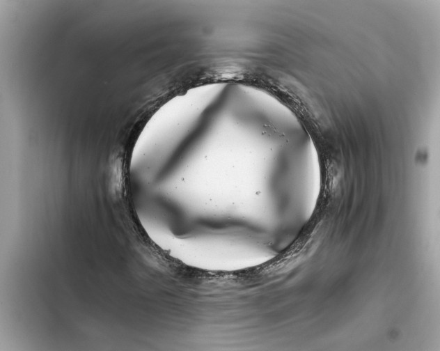 X0000103271442200809191731