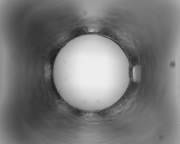 X0000103271443200809191731