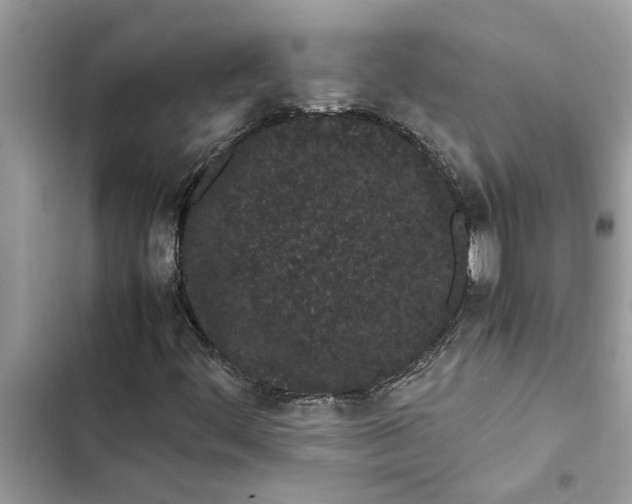 X0000103271444200809191731
