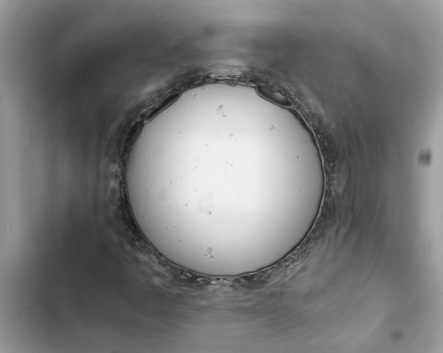 X0000103271445200809191731