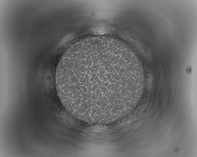 X0000103271446200809191731