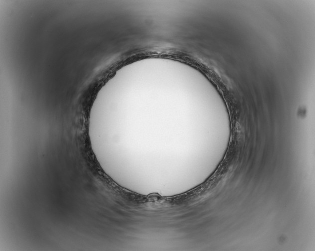 X0000103271447200809191731